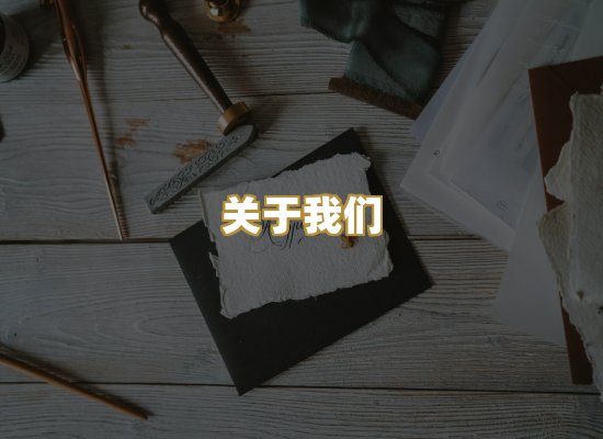 关于我们